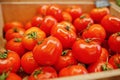 Colorful shiny fresh vegetables. Tomatoes on the shelf of a supermarket or grocery store Royalty Free Stock Photo