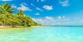 Colorful shore in Bois Jolan beach in Guadeloupe