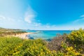 Colorful shore in Scoglio di Peppino beach