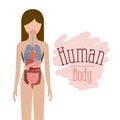 Colorful silhouette female person with set internal organs system of human body Royalty Free Stock Photo