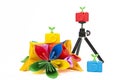 Colorful silicon camera with colorful flower