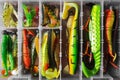 Colorful silicone lures. fishing tackle box Royalty Free Stock Photo