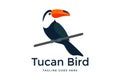 Colorful Simple Tropical Toucan Bird Logo Design