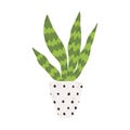 Colorful single houseplants in pot. Vector illustrations of Indoor cactus in flowerpot. Indoor plant in pot in flat cartoon style.