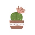 Colorful single houseplants in pot. Vector illustrations of Indoor cactus in flowerpot. Indoor plant in pot in flat cartoon style.