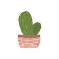 Colorful single houseplants in pot. Vector illustrations of Indoor cactus in flowerpot. Indoor plant in pot in flat cartoon style.