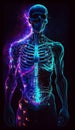 A colorful skeleton anatomy digital art