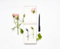 Colorful sketchbook, roses and pen. Botanic illustration of a rose. Flat lay, top view