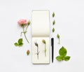 Colorful sketchbook, roses and pen. Botanic illustration of a rose. Flat lay, top view