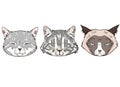 Colorful sketches of cat heads. Cats portraits on white background