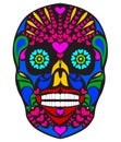 Colorful skull