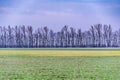 Colorful sky above line of trees and green field