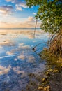 Colorful sky reflected in water of mangrove lagoon Royalty Free Stock Photo