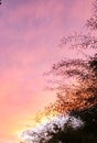 Colorful sky view at sunset on a late December day