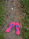 Colorful Slippers or Flip Flops