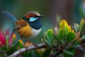 Colorful Small Bird Perched on Branch Royalty Free Stock Photo
