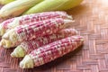 Colorful small ears waxy corns with silk, corn leaf on bamboo weave background for food and drink design