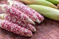 Colorful small ears waxy corns with silk, corn leaf on bamboo weave background for food and drink design