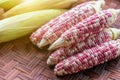 Colorful small ears waxy corns with silk, corn leaf on bamboo weave background for food and drink design