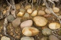 Colorful, smooth stones on shore, Jackson Lake, Teton National P Royalty Free Stock Photo