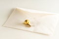 Snail on a mail envelope on a white  background Royalty Free Stock Photo