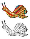 Colorful snail and snail in black and white for coloring book. Pattern in doodle style. Vector illustration Royalty Free Stock Photo