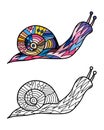 Colorful snail and snail in black and white for coloring book. Pattern in doodle style. Vector illustration Royalty Free Stock Photo