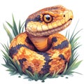 Colorful snake coiled in grass, illustration Royalty Free Stock Photo