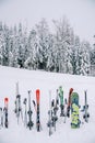 Colorful snowboards and skis stand stuck in the snow at the edge of the forest