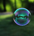 Colorful soap bubble floating in the green background