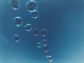 Colorful soap bubbles against blue sky background. Royalty Free Stock Photo