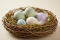 Colorful speckled easter eggs in a natural birds nest Royalty Free Stock Photo