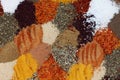 Colorful spice mix