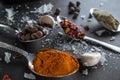 Colorful spices in spoons on dark background