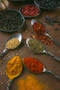 Colorful spices in teaspoons Royalty Free Stock Photo