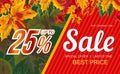 Stylish banner withÃÂ autumn sale promotion