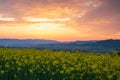 Colorful spring day with flowers and mountains Royalty Free Stock Photo