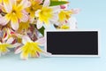 Colorful spring flower bouquet and blank blackboard sign for text. Royalty Free Stock Photo