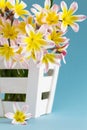 Colorful spring flower bouquet, in white wooden container . Royalty Free Stock Photo