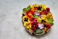Colorful spring flowers arranged on a round wood, small pansies in various colors, flower petals, colorful primroses and small pan