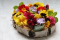 Colorful spring flowers arranged on a round wood, small pansies in various colors, flower petals, colorful primroses and small pan