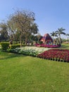 Colorful spring flowers at Central Park, Connaught Place, New Delhi, India