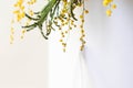 Colorful spring flowers bouquet. mimose. Flowers backfround. Royalty Free Stock Photo