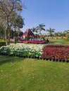 Colorful spring flowers at Central Park, Connaught Place, New Delhi, India.