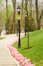 Colorful spring flowers and flower bed in the parks and gardens along the Bosforus in Turkey