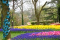 Colorful spring flowers and flower bed in the parks and gardens along the Bosforus in Turkey