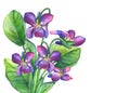 Colorful spring flowers Fragrant violets English Sweet Violets, Viola odorata.