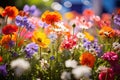 Colorful spring flowers in the garden with bokeh background, Colorful wildflowers blooming in a garden on a sunny day, AI Royalty Free Stock Photo