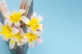 Colorful spring flowers, inbetween pages of standing and slightly opened book/diary.