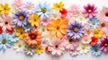 colorful spring flowers onwhite background, top view Royalty Free Stock Photo